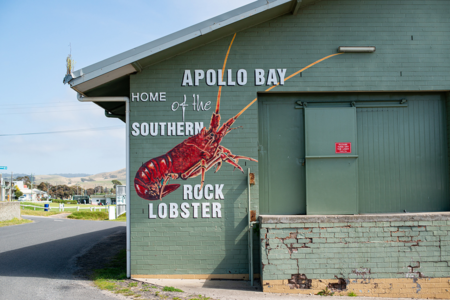 Explore the quaint seaside town of Apollo Bay | Photo credit: Visit Victoria