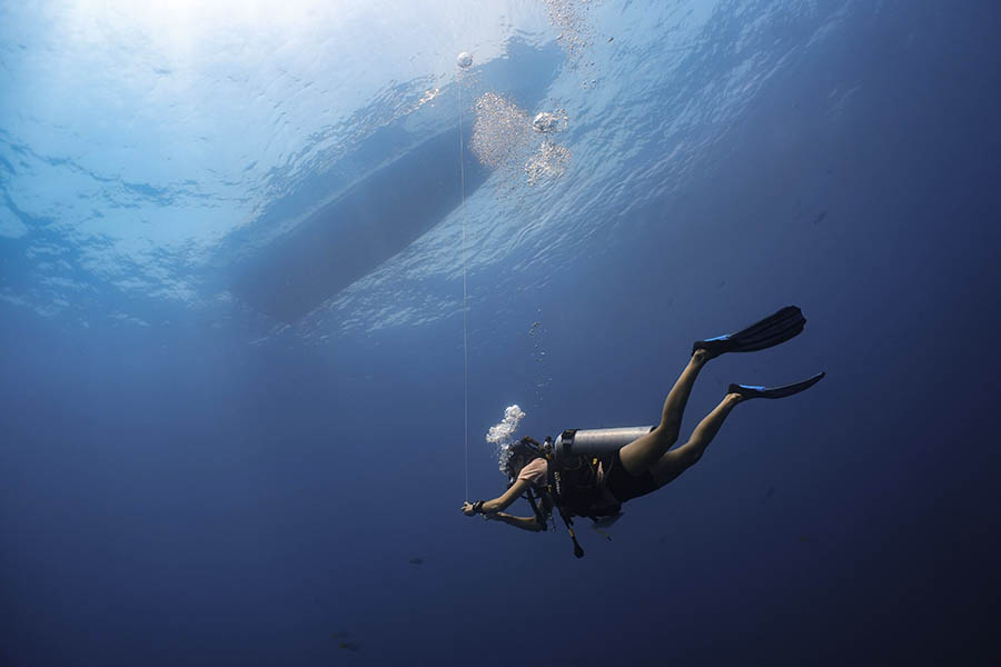 Emily diving across the world | Travel Nation 