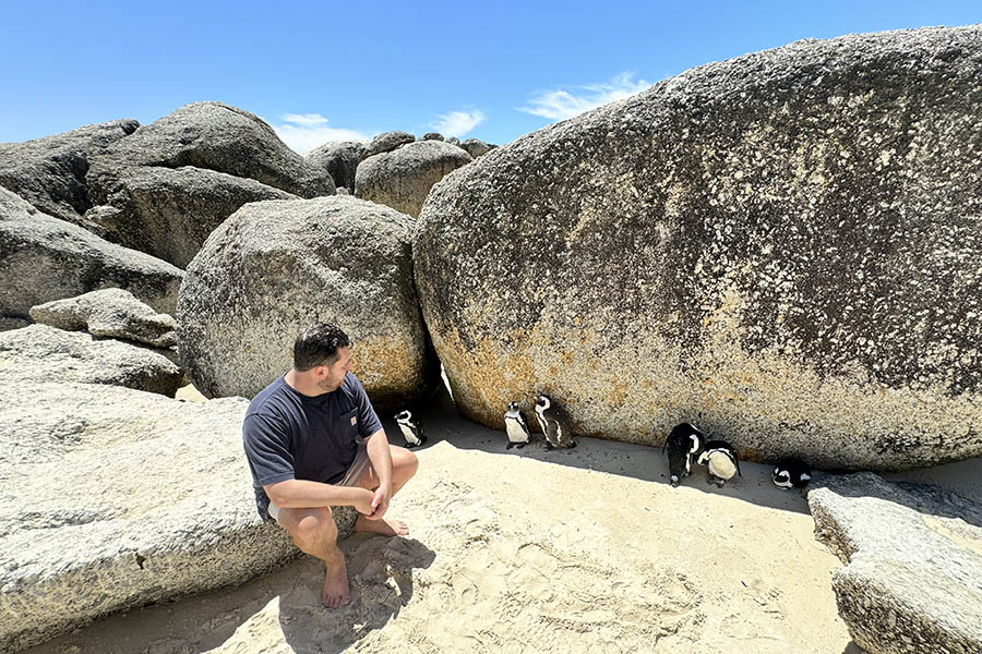 Ben with the penguins on Boulders Beach, Cape Town | Travel Nation 