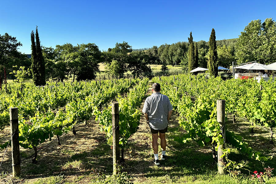 Ben in the vineyards of Stellenbosch | Travel Nation 