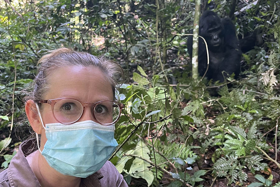 Go gorilla trekking in Uganda | Travel Nation