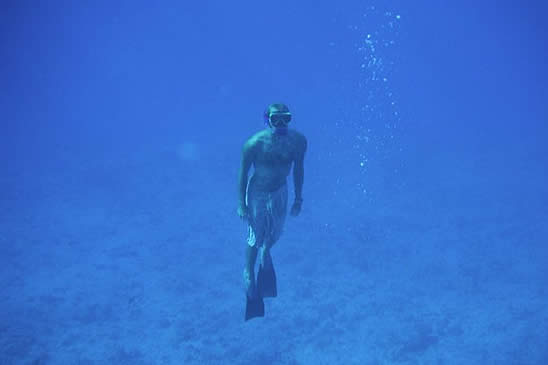 Free diving in Moorea, French Polynesia 