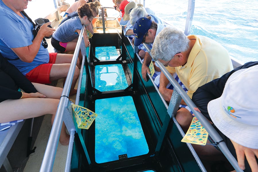 Look for Great Barrier marine life on a glass-bottomed boat | Travel Nation