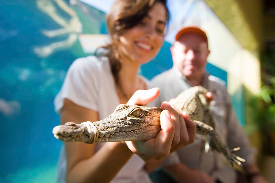 Lady holding a baby croc | Credit: Peter Eve & Tourism NT