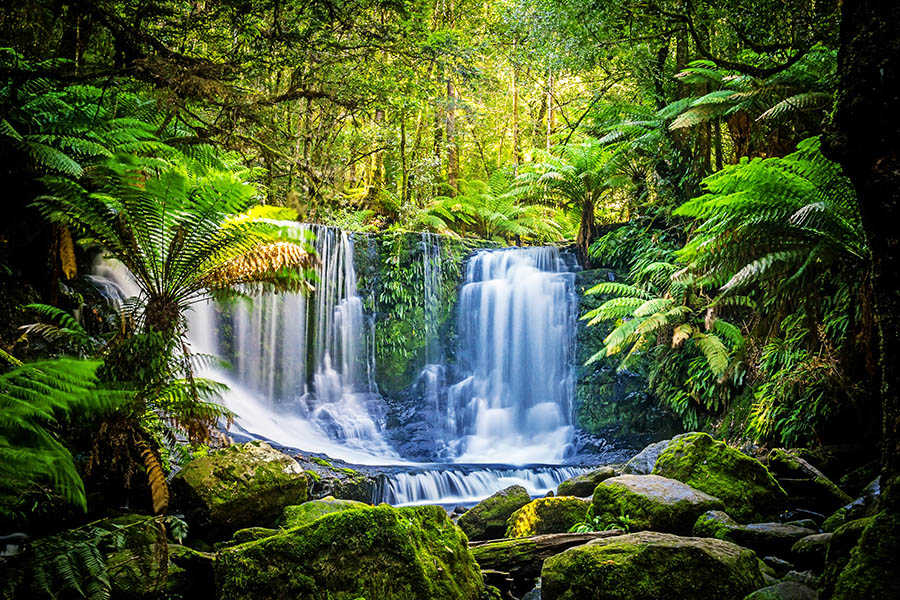 900x600-australia-tasmania-horeshoe-falls-ferns