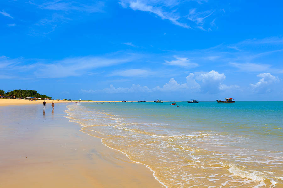 Laze on the tropical beaches of Brazil's Bahia | Travel Nation