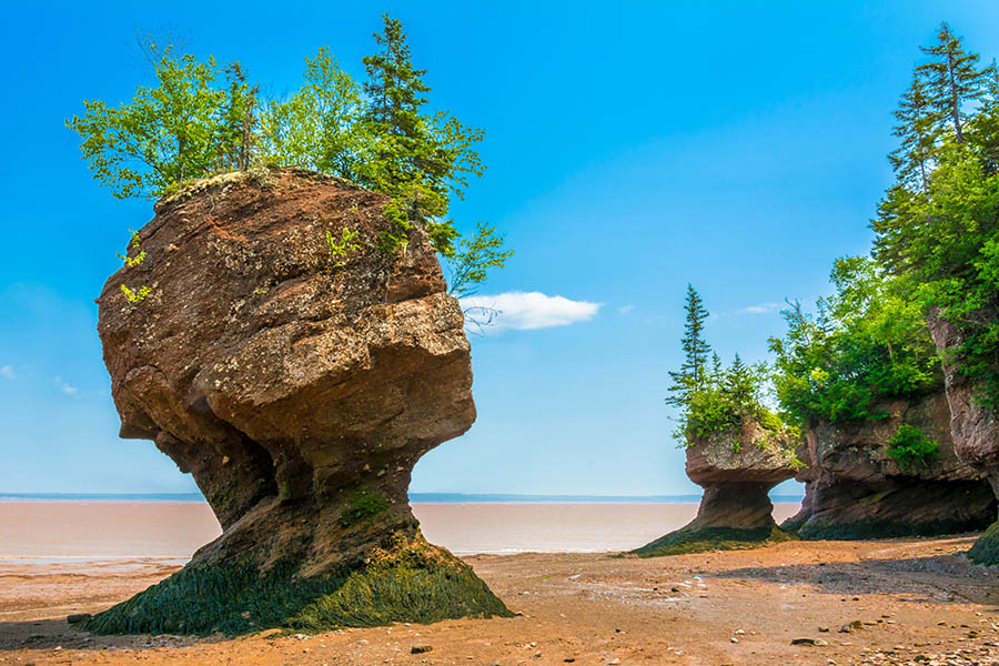 Soak up the amazing scenery in the Bay of Fundy | Travel Nation