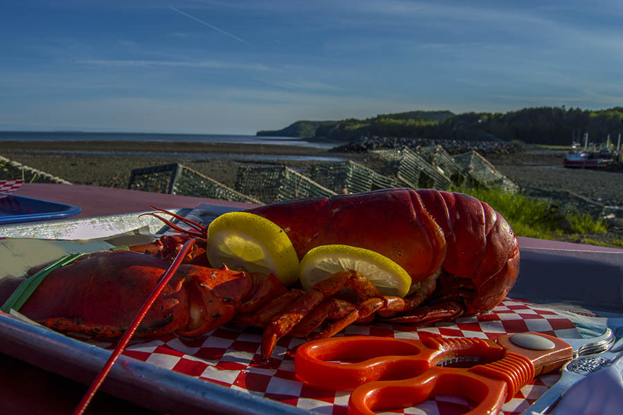 Eat lobster fresh from the Altantic in Nova Scotia | Travel Nation