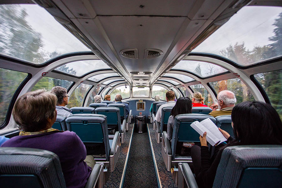 Get amazing views from the Park Car of the Ocean Train | Photo credit: VIA Rail Canada