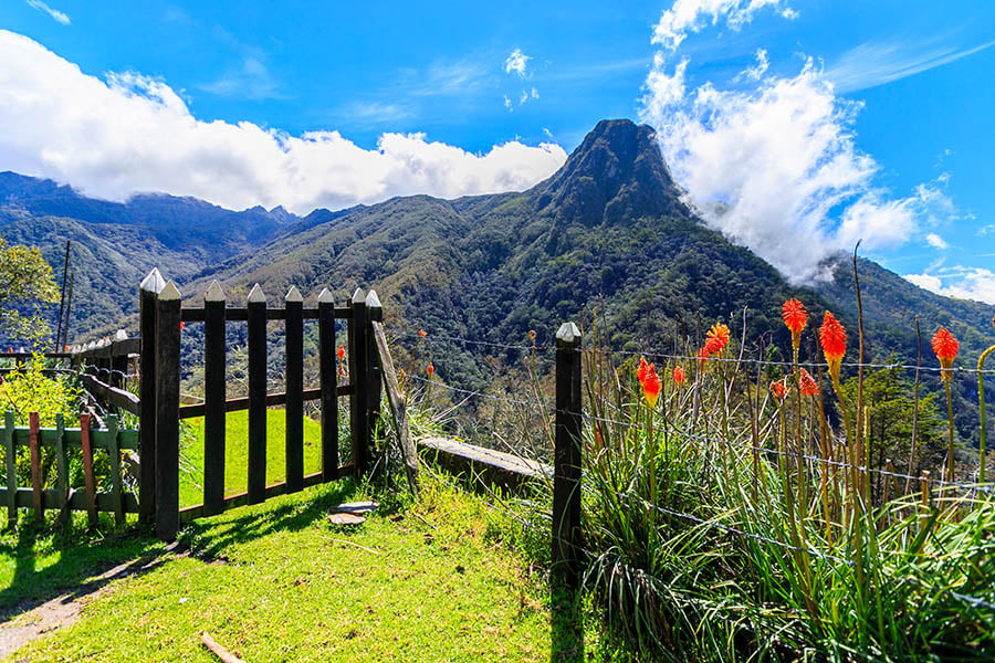 Hike or ride through the forest to the Valle de Cocora | Travel Nation