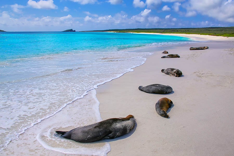 How to visit the Galapagos Islands Travel Nation