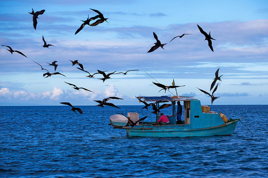 Watch the fishermen at work in Puerto Lopez Ecuador | Travel Nation