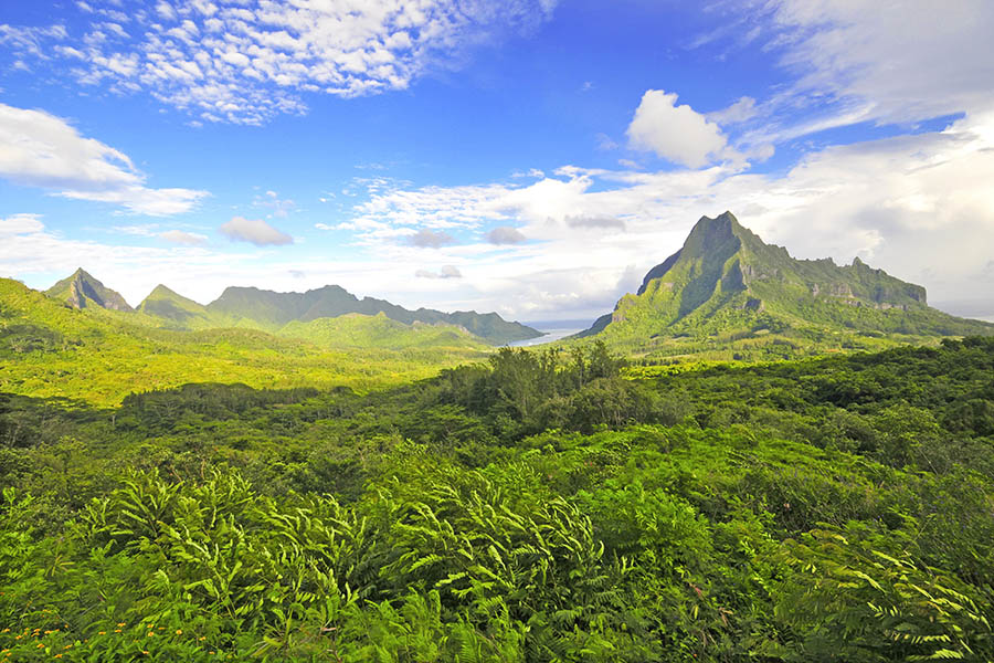 900x600-french-polynesia-moorea-roto-nui-volcano-scenery