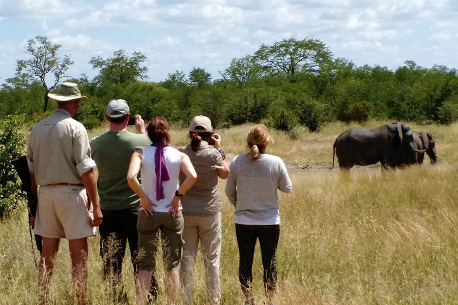 Walking safari in Jozibanini, Zimbabwe | Travel Nation
