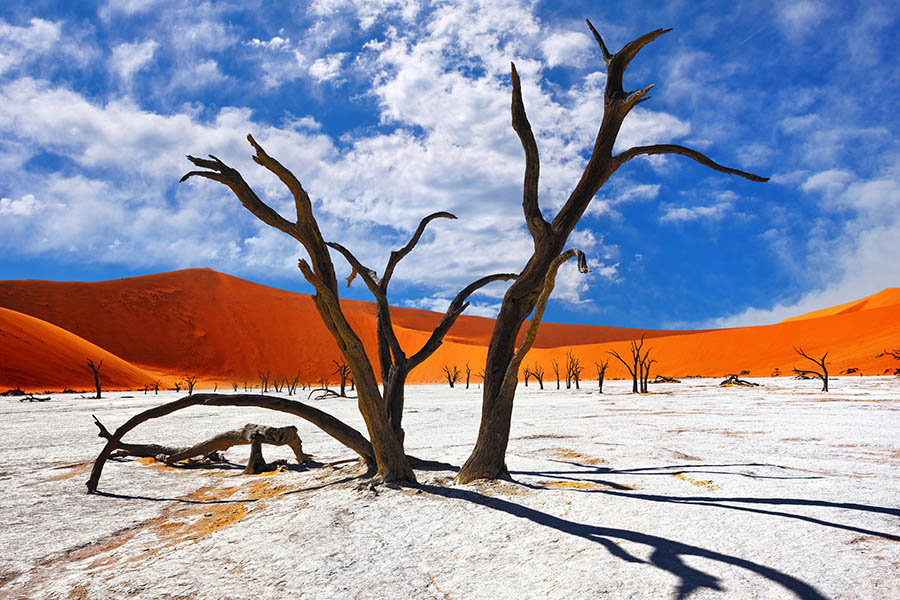 900x600-namibia-deadvlei-sossusvlei-dead-camelthorn-trees
