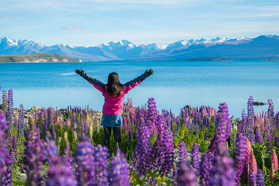 Gaze out to the mountains from Lake Tekapo in spring | Travel Nation