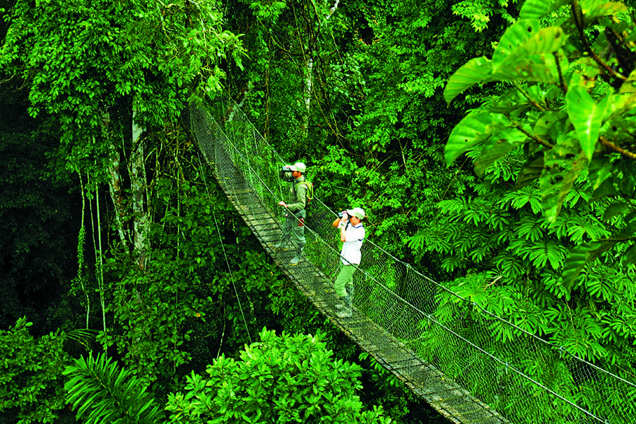 Spot wildlife from the hanging bridges of Reserva Amazonica | Photo credit: Inkaterra
