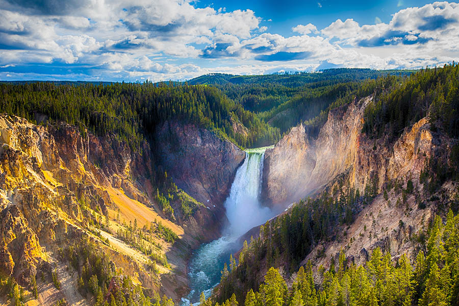 Visit Lower Yellowstone Falls in Yellowstone National Park | Travel Nation