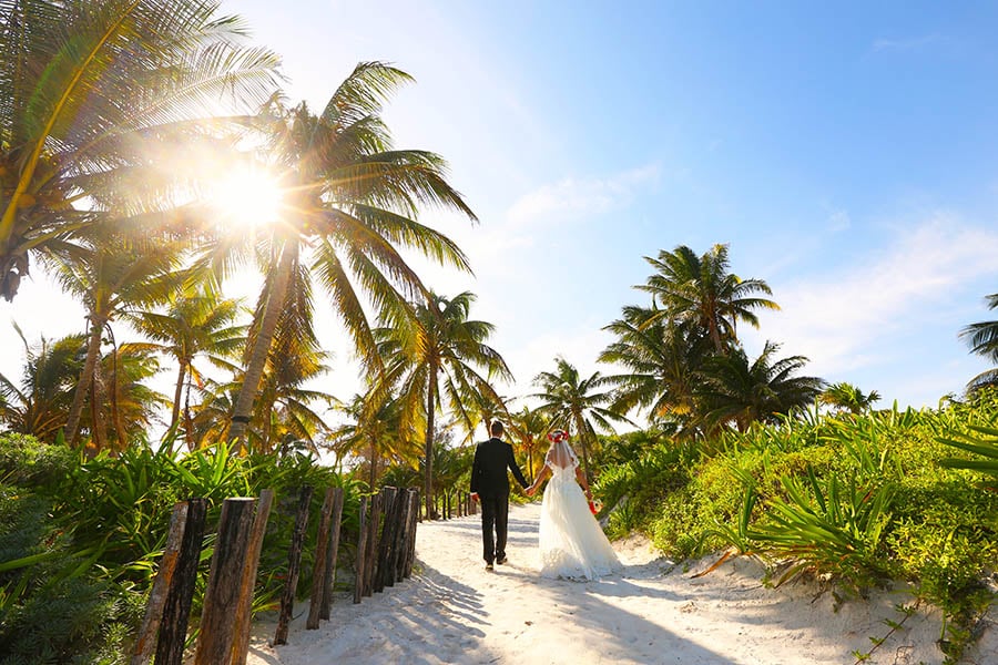 900x600-weddings-couple-walking-palm-path-beach