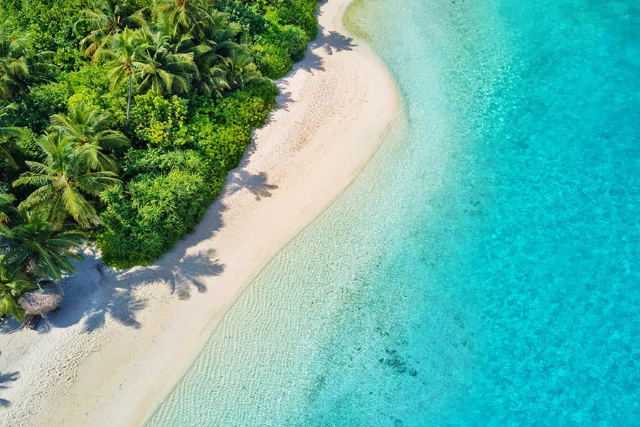 900x600_maldives_beach_palm_trees