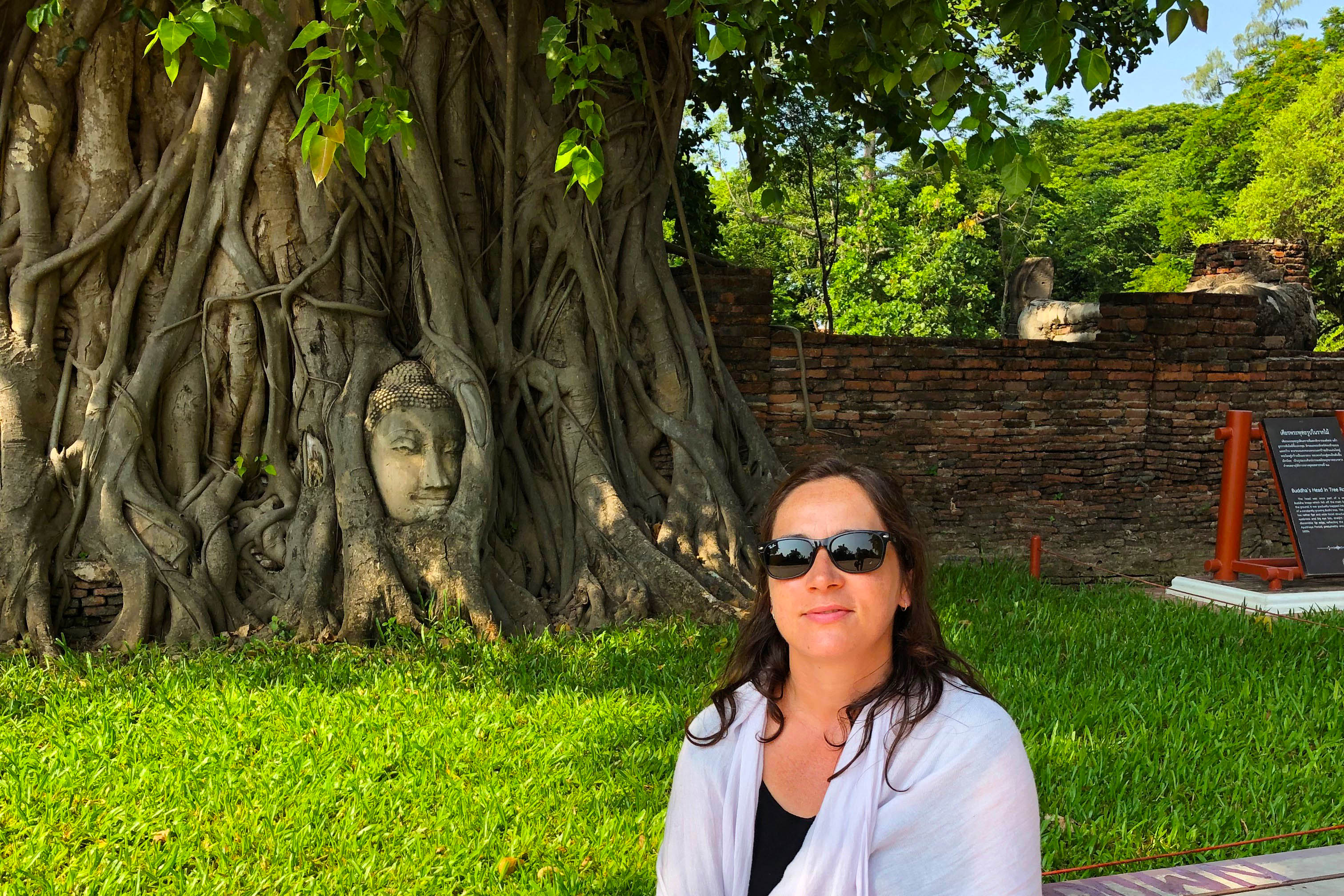 L'arbre de Bodhi en Thaïlande 