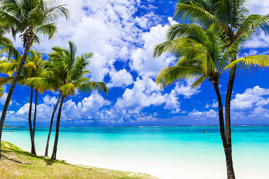 900x600_mauritius_white_beach_palms