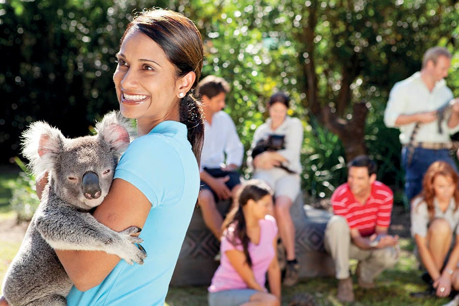 Meet indigenous creatures in Australia Zoo ( made famous by Steve Irwin) | photo credit: Tourism & Events Queensland