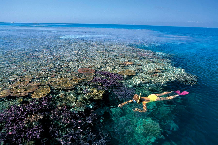 Discover the colourful marine life of the Great Barrier Reef | Photo credit: Tourism & Events Queensland