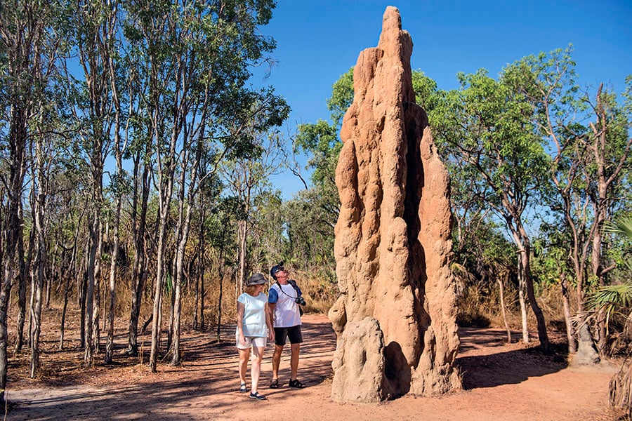 Wander around giant termite mounds in Litchfield National Park | image credit: Tourism NT