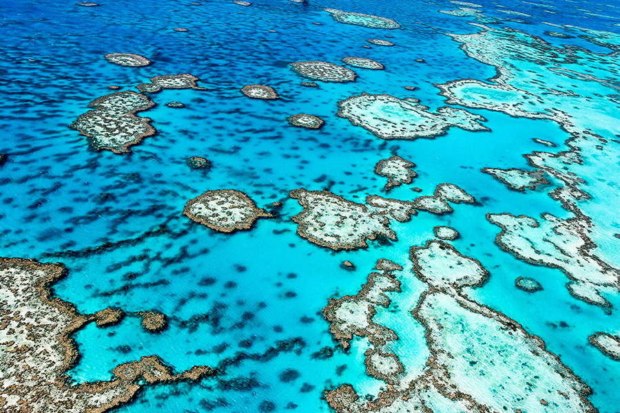You can't afford to miss the Great Barrier Reef!