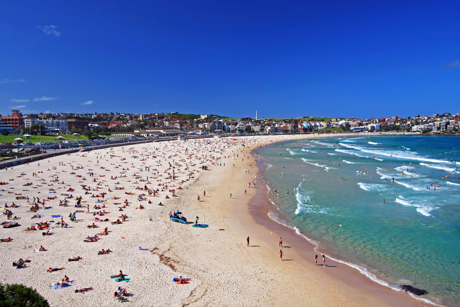 Catch some sun or learn to surf at Bondi beach