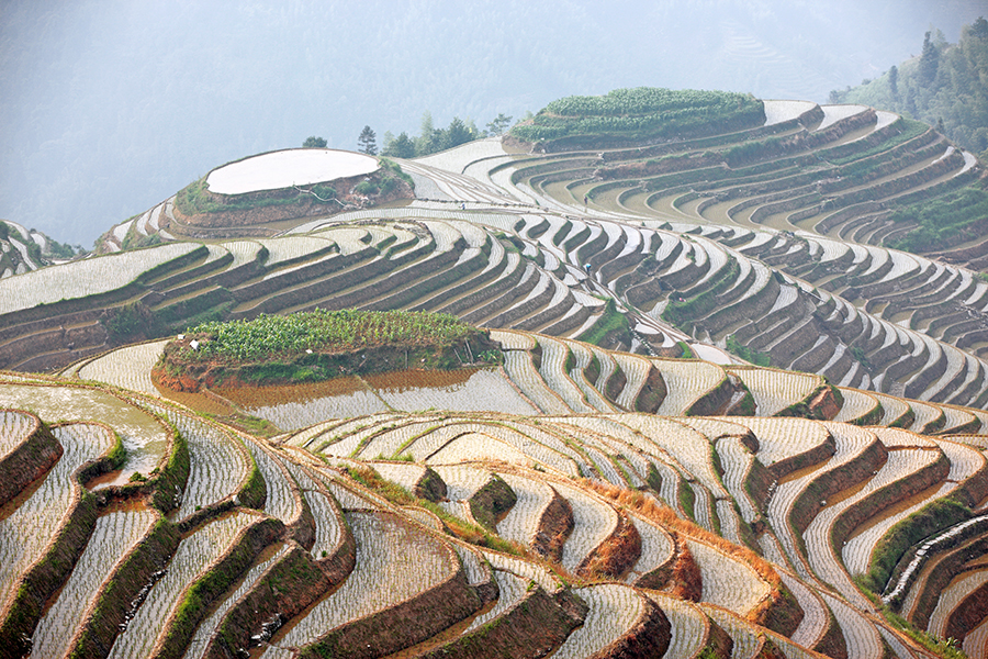 ‘Dragons Backbone’ (Longji), one of the most beautiful stretches of rice terraces in the country. 