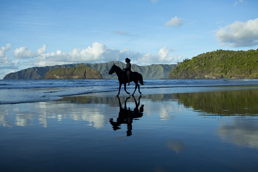 Learn about the Marquesas horses in Hiva Oa | Travel Nation | Photo credit: Tahiti Tourisme