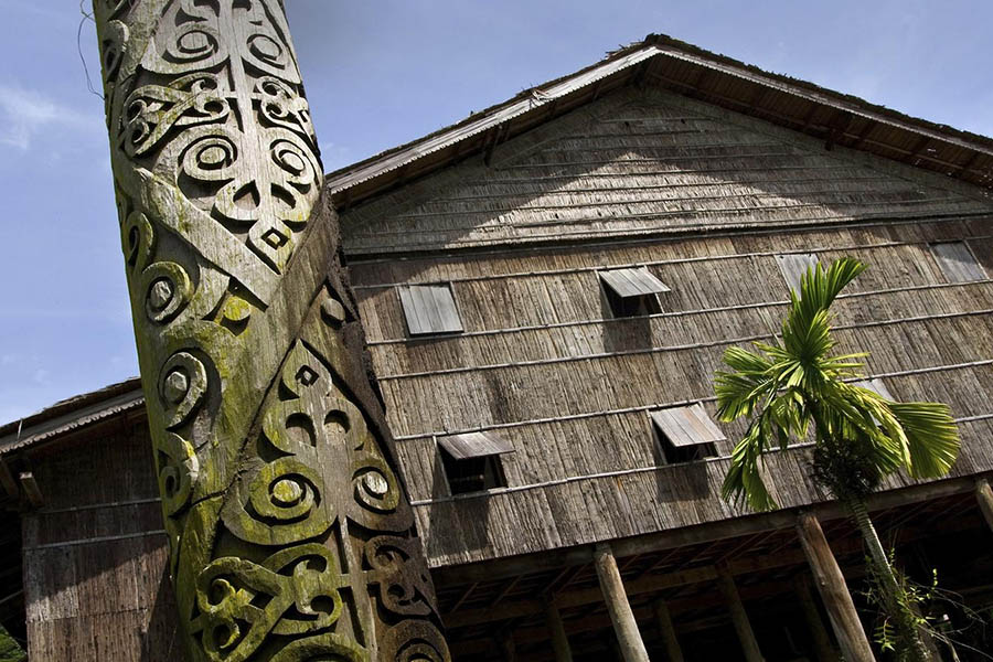 Bornéo : Aventure à Sabah