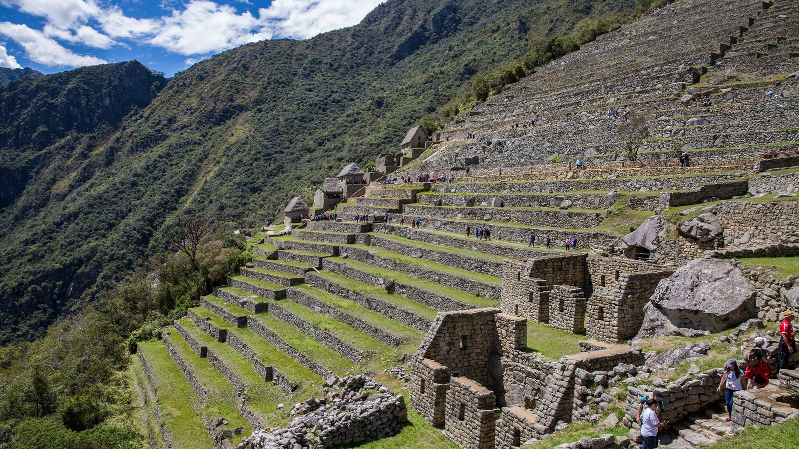 image_amazontoandeswithmachupicchubytrain_12-days