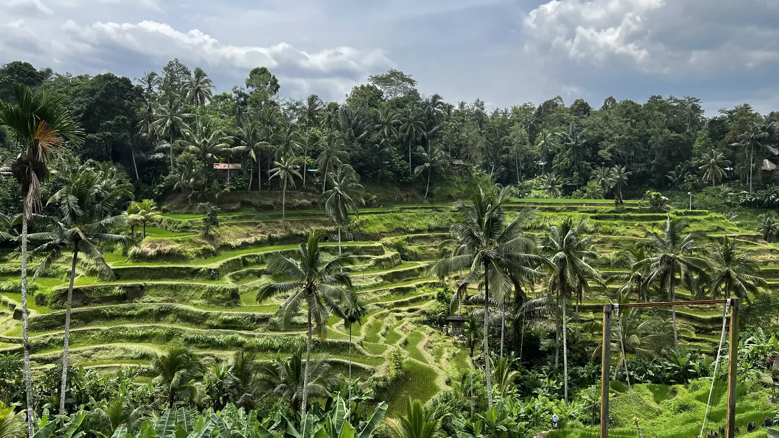 image_baliswildheartsoulsurfspirit