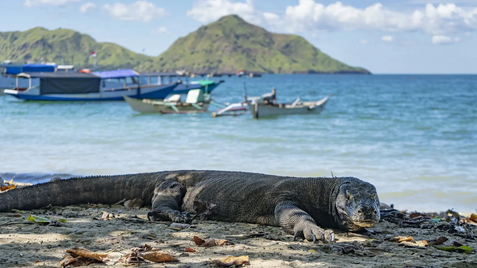image_balitoflorestrailstribalvillagesdragonlagoons_17-days