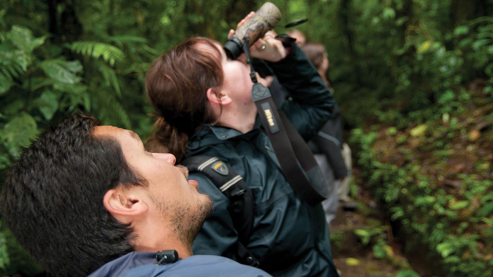 image_basiccentralamericamexicotocostarica