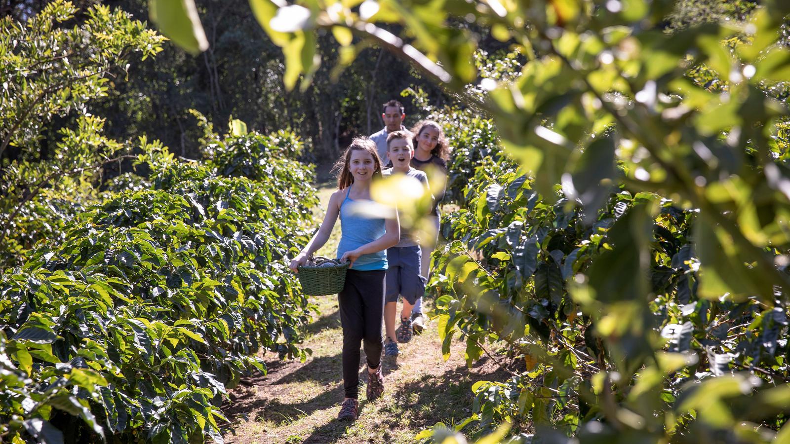 image_costaricafamilyjourneyfromrainforesttocoast