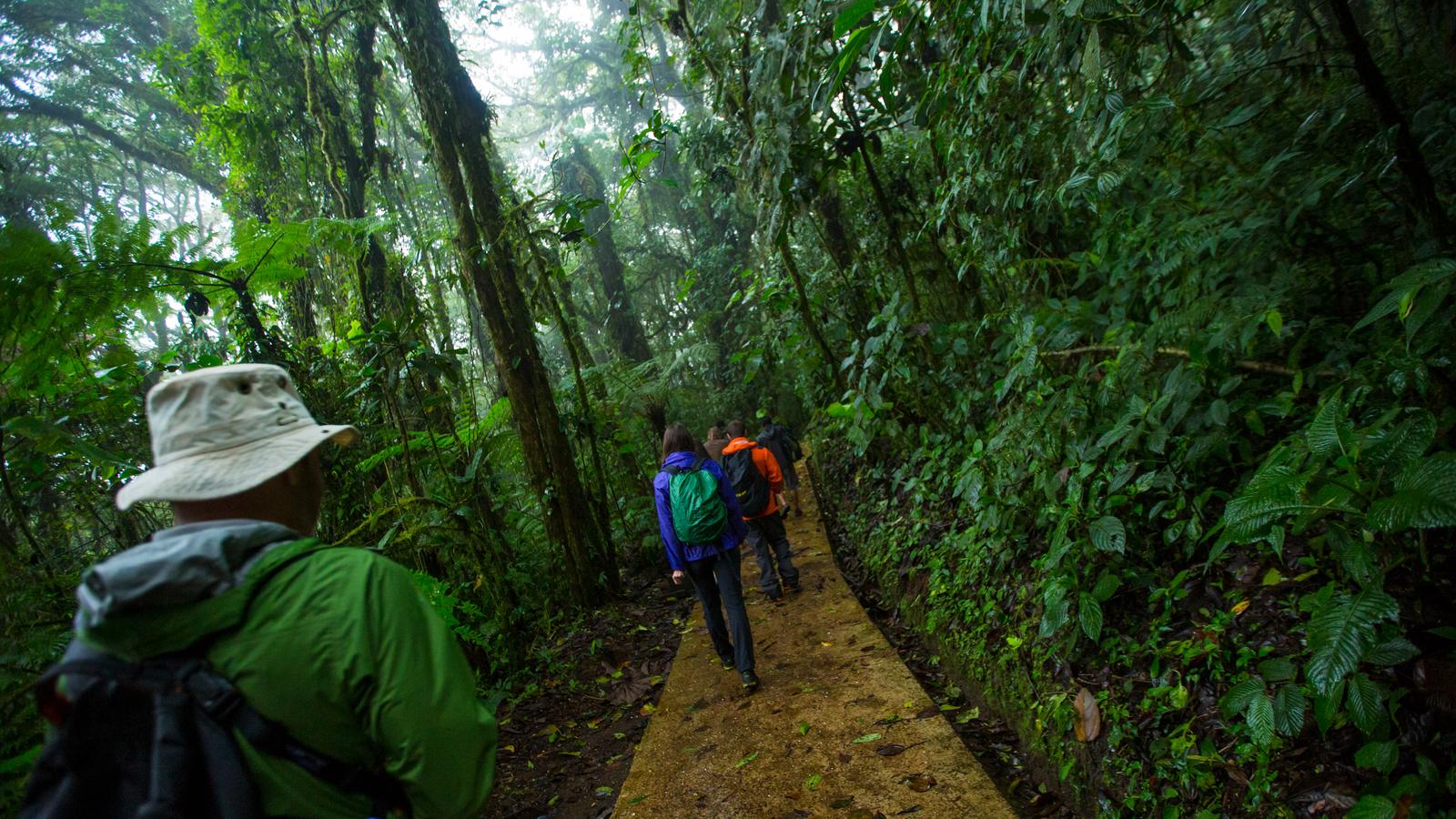 image_costaricamonteverdeandlafortuna