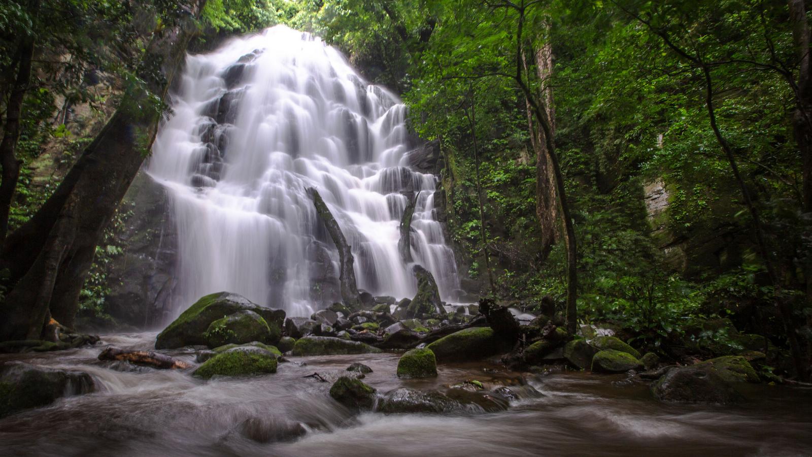 image_costaricariocelesterincondelavieja