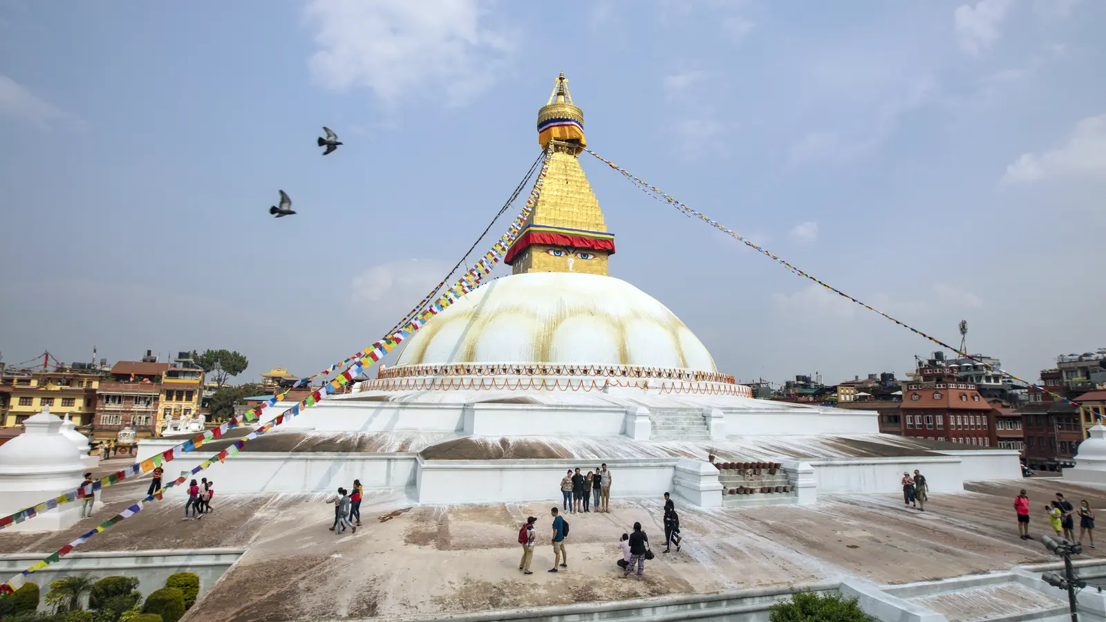 image_delhitokathmanduriverwalksepicwildlife