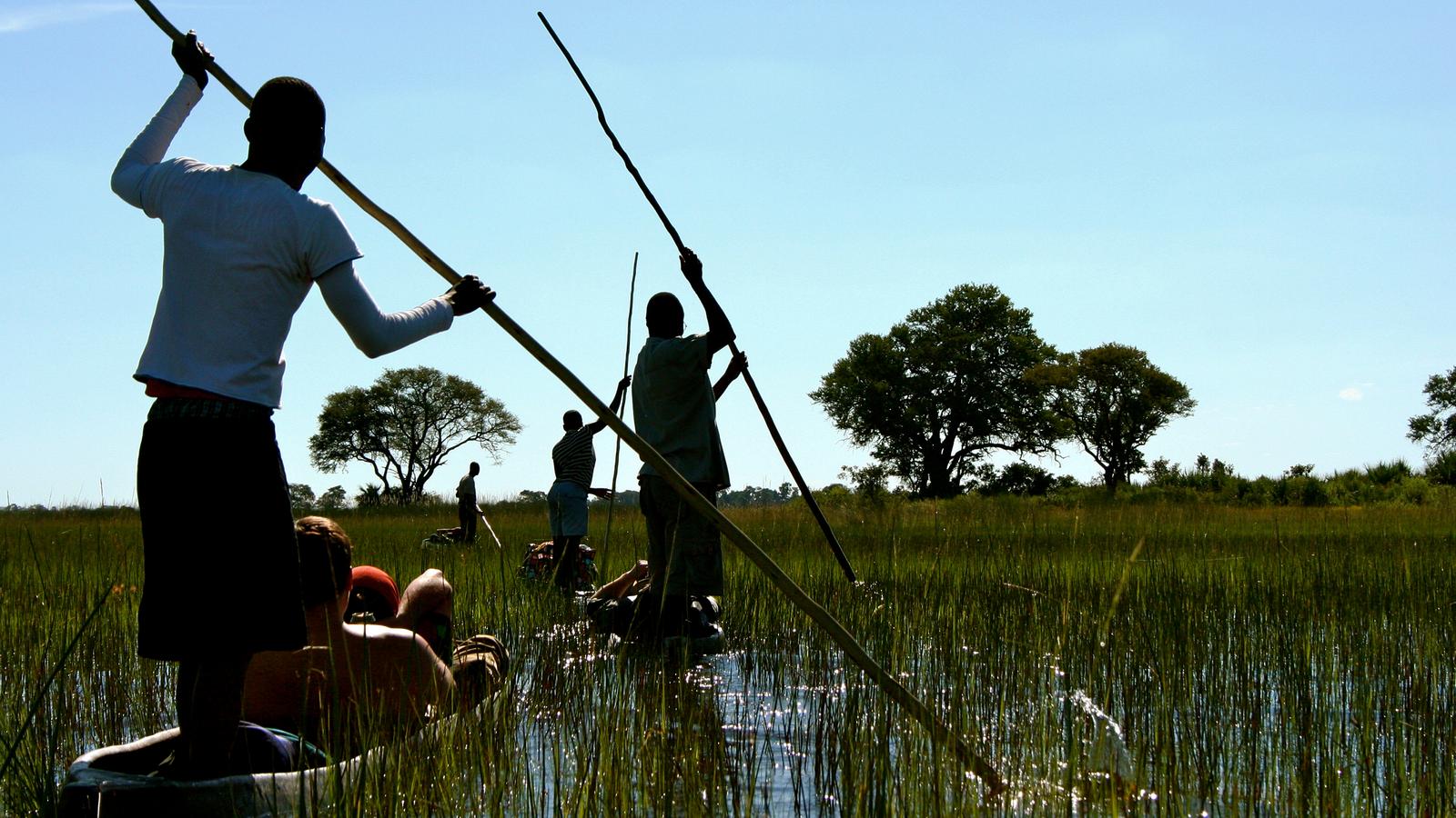 image_deltafallseastboundbaobabtreesriverviews
