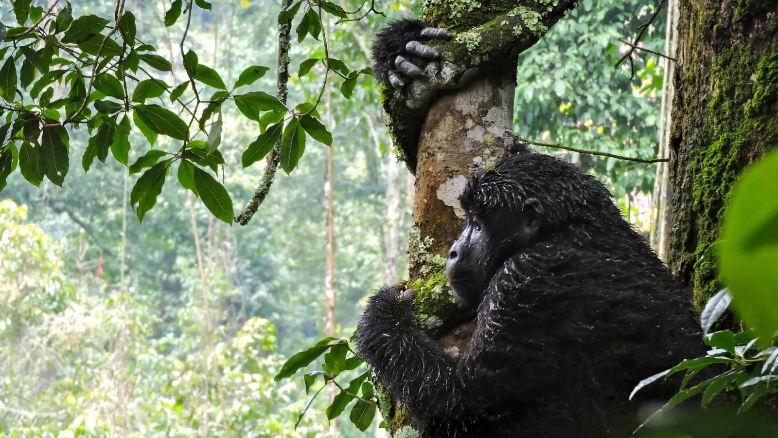 thumbnail image_eastafricadiscovery