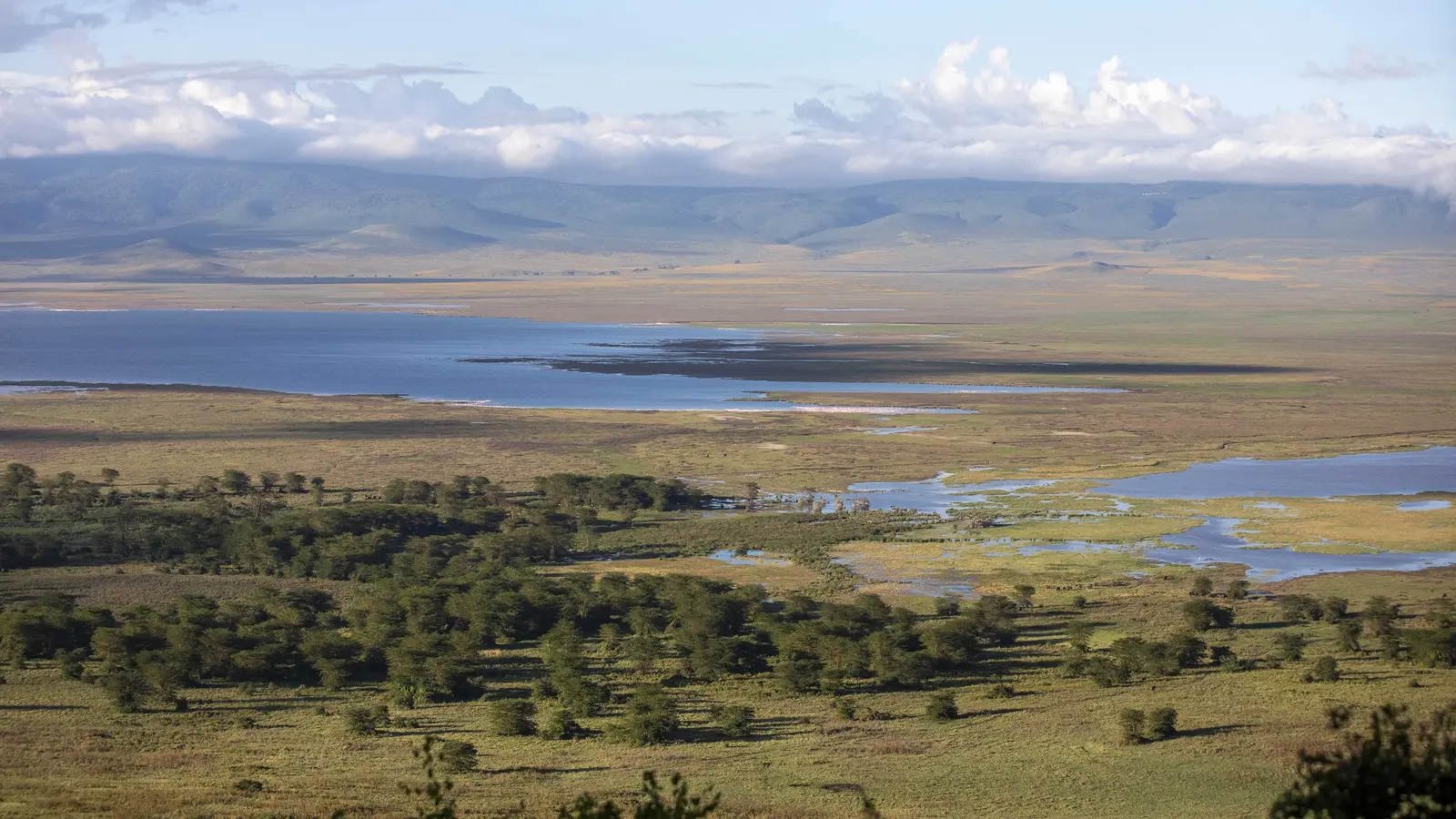 thumbnail image_eastafricamaasaimaraserengetisafarisislandparadise