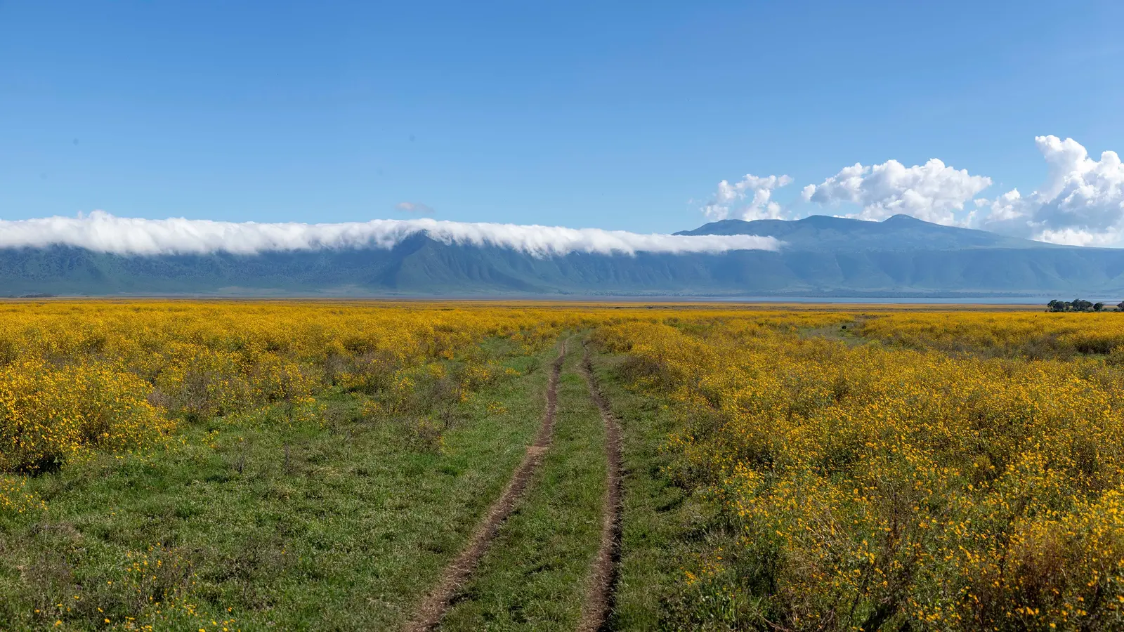 image_eastafricasafaridrivesmaasaiculturethegreatmigration