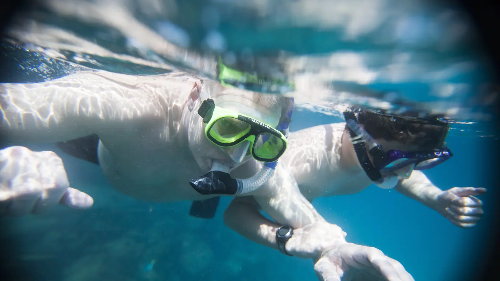 image_ecuadortogalpagosjunglebeatsislandheat