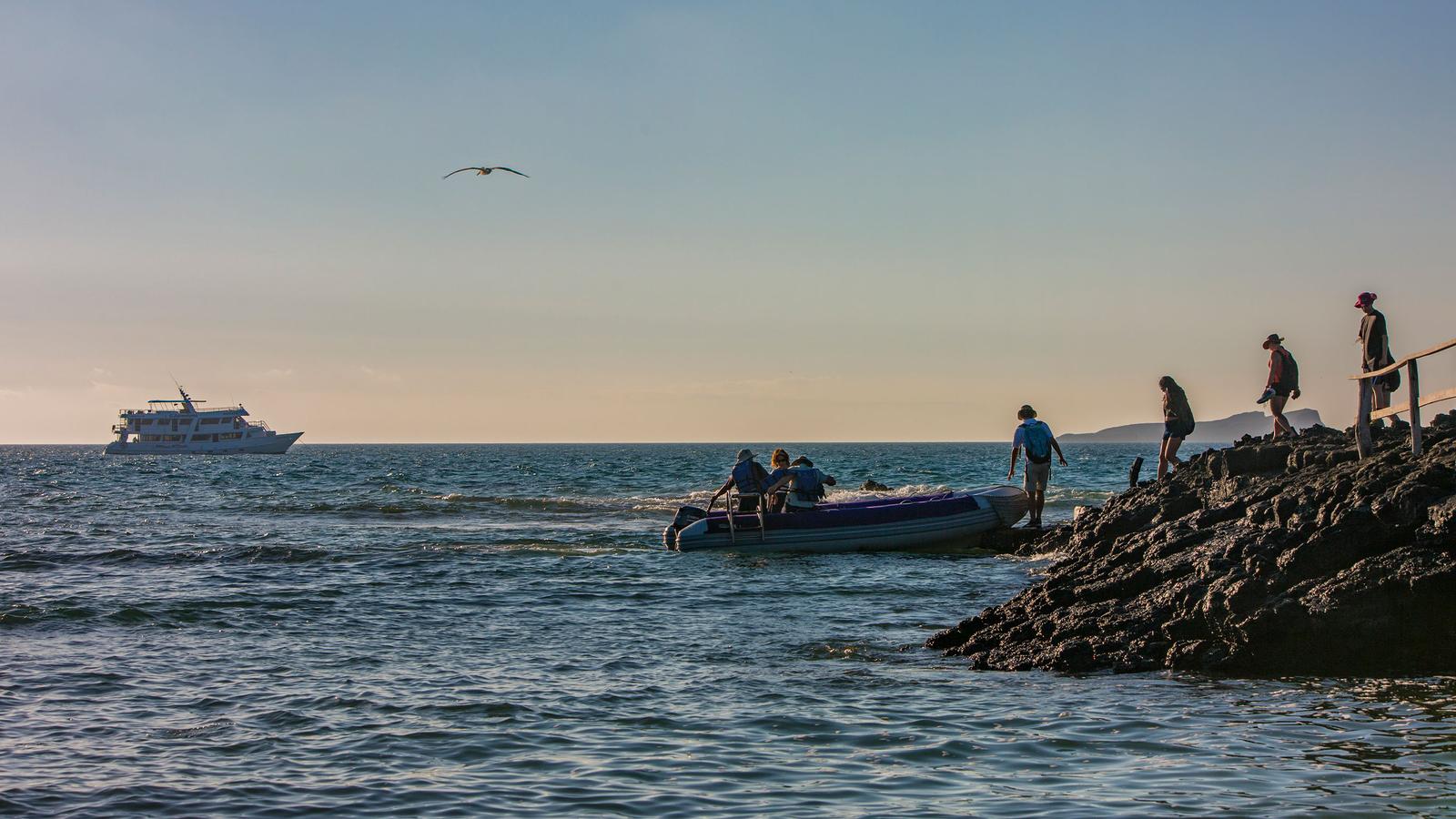 image_galpagossoutheastislandsaboardtheeden