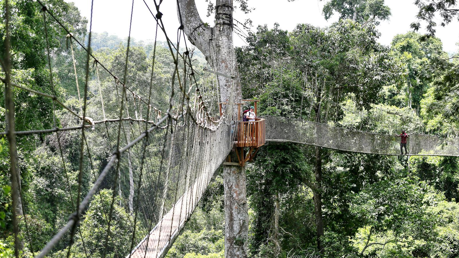 image_ghanabeachesbreathtakingcoastlines
