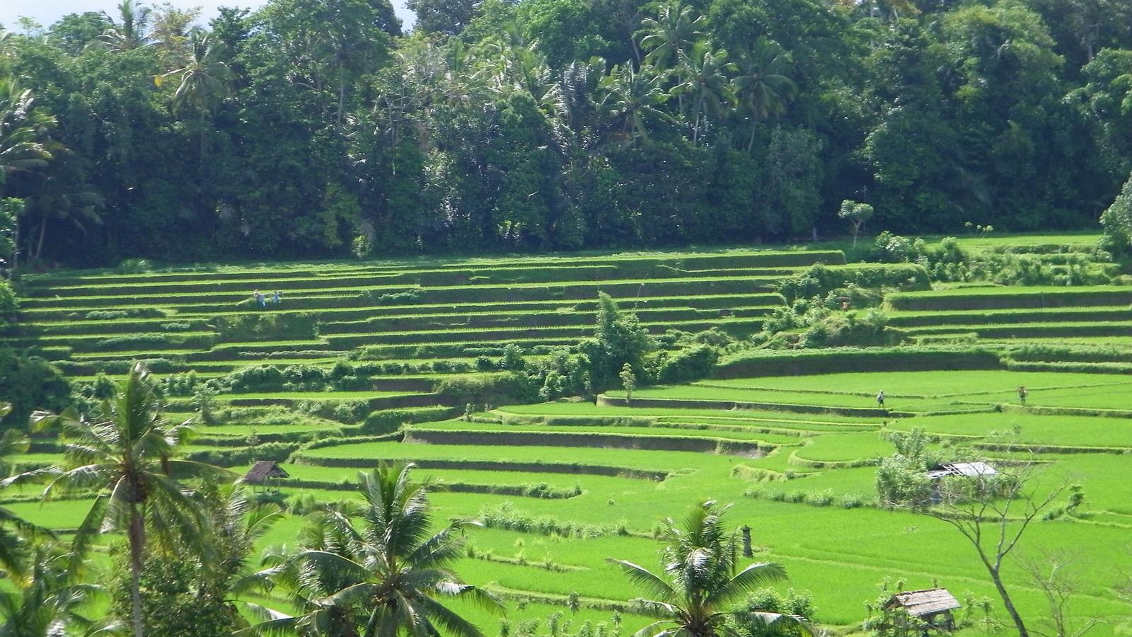 image_indonesiajakartabalilombok